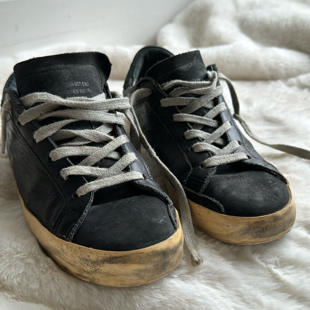 Black Golden Goose
